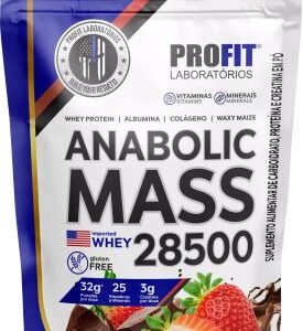Hipercalórico Anabolic Mass 28500 - 3kg - Profit Labs Sabor Chocolate com Morango